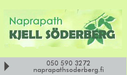 Naprapath DN Kjell Söderberg logo